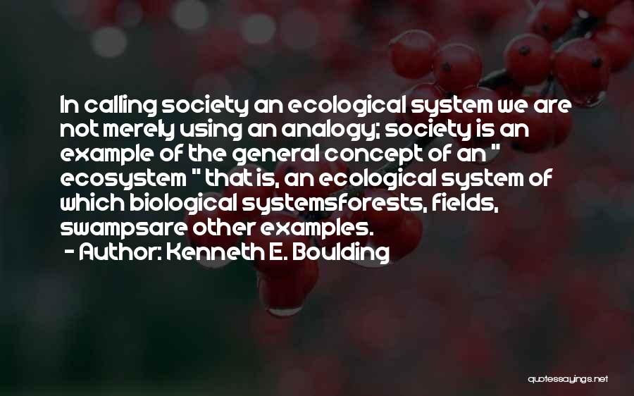 Ecosystem Quotes By Kenneth E. Boulding