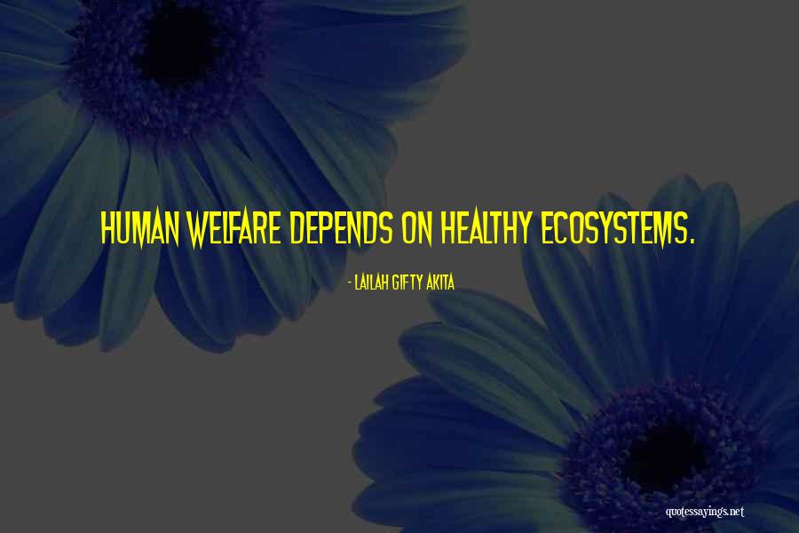 Ecotones Quotes By Lailah Gifty Akita Ecotones Quotes By Lailah Gifty Akita