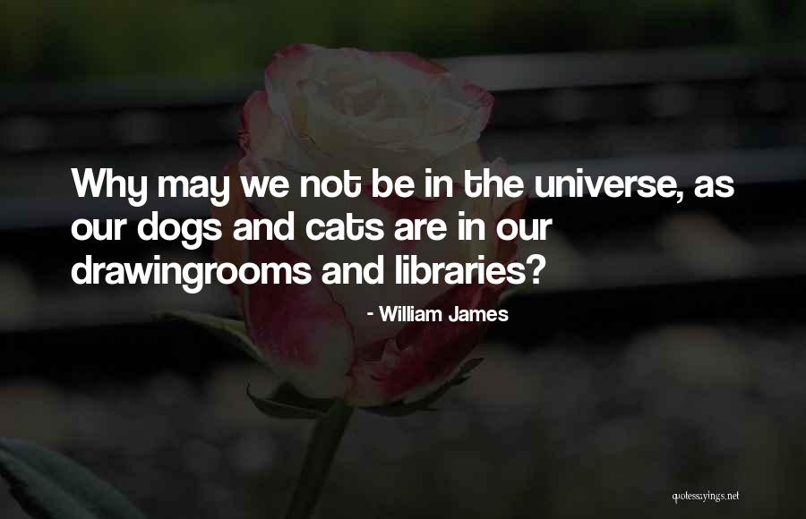 Ecouter Quotes By William James Ecouter Quotes By William James