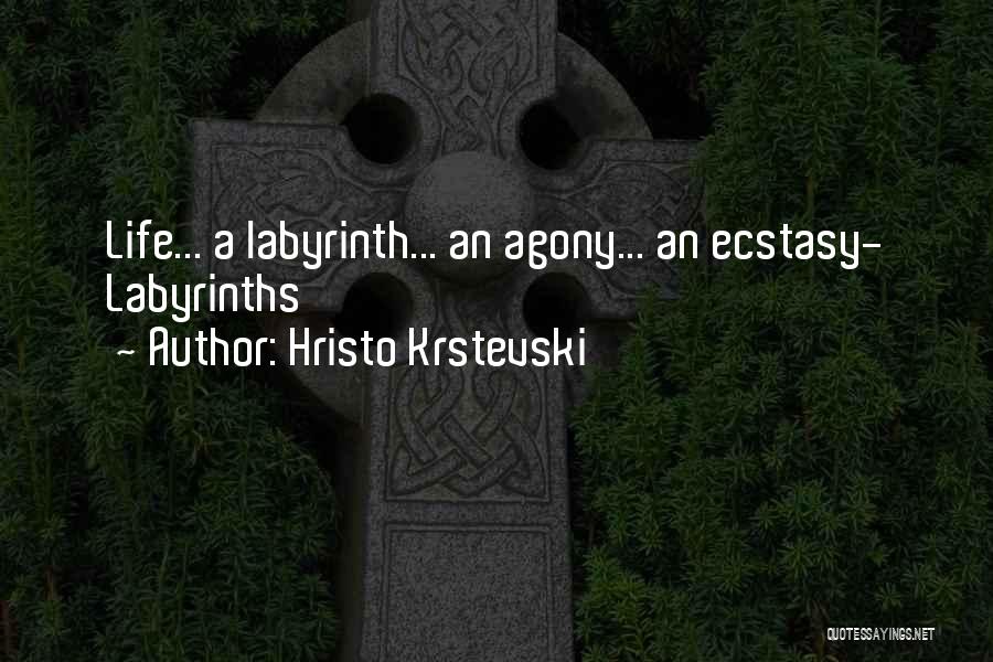 Ecstasy Life Quotes By Hristo Krstevski