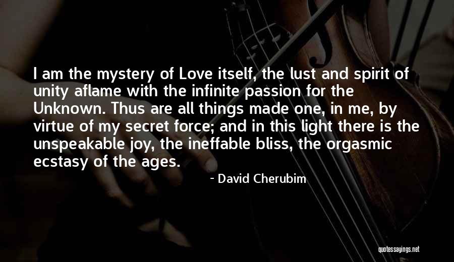 Ecstasy Love Quotes By David Cherubim Ecstasy Love Quotes By David Cherubim