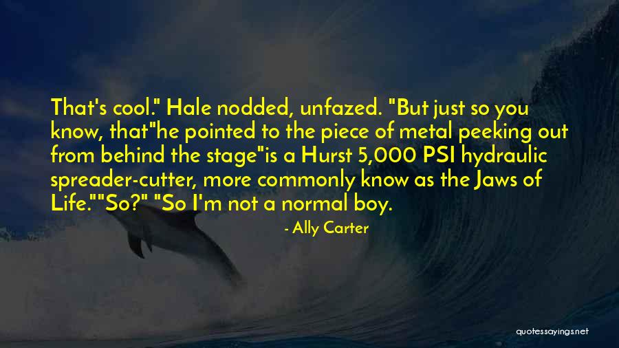 Ecuestre De Caballos Quotes By Ally Carter Ecuestre De Caballos Quotes By Ally Carter