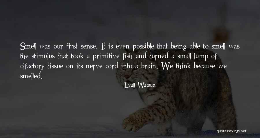 Eczema Face Quotes By Lyall Watson Eczema Face Quotes By Lyall Watson