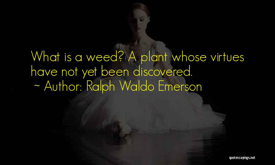 Ed Bastian Quotes By Ralph Waldo Emerson