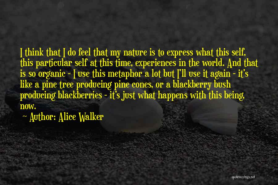 Ed Deline Quotes By Alice Walker