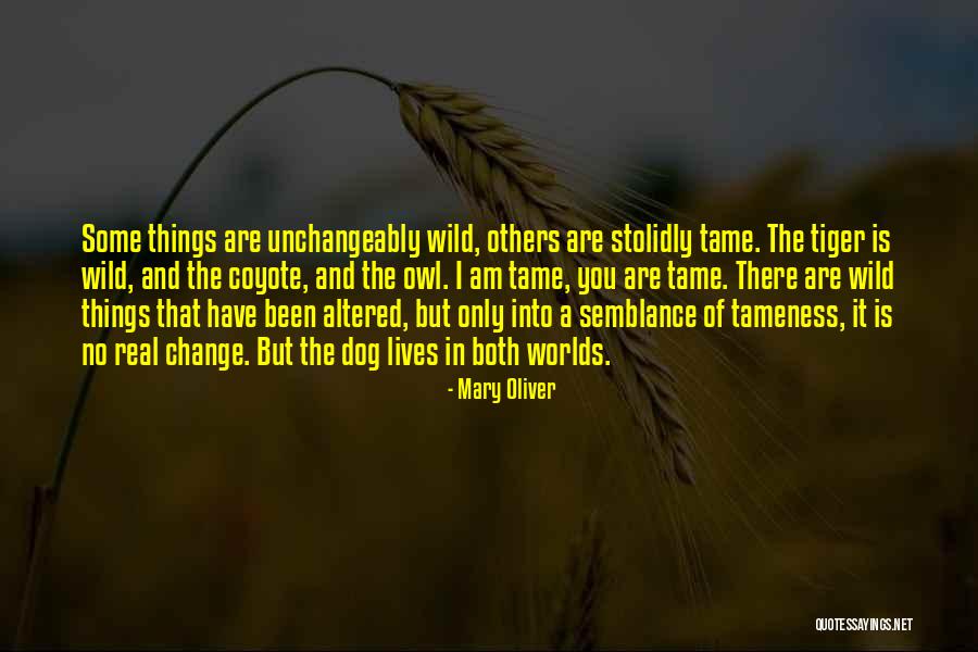 Ed Lane Quotes By Mary Oliver Ed Lane Quotes By Mary Oliver