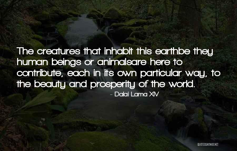 Ed Sheeran Divide Quotes By Dalai Lama XIV Ed Sheeran Divide Quotes By Dalai Lama XIV