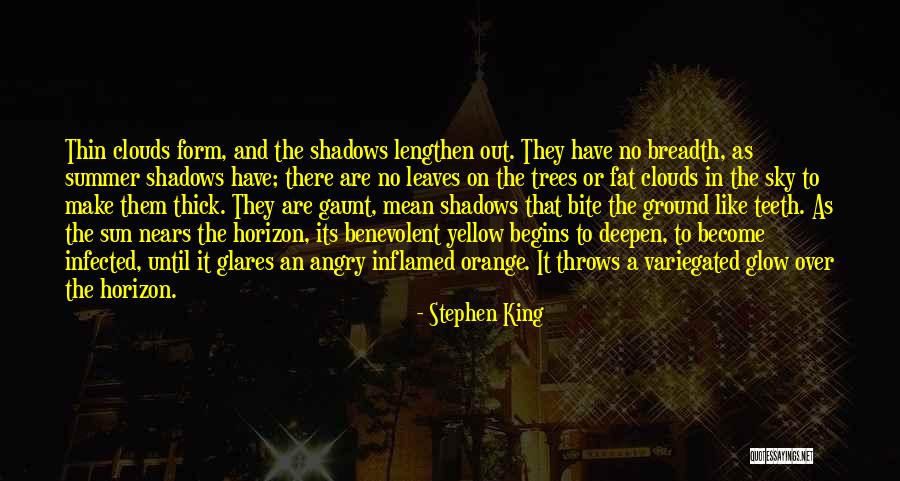Edanur Baba Quotes By Stephen King Edanur Baba Quotes By Stephen King