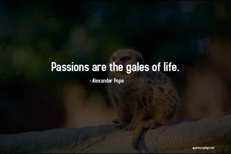 Eddas Chocolour Quotes By Alexander Pope Eddas Chocolour Quotes By Alexander Pope