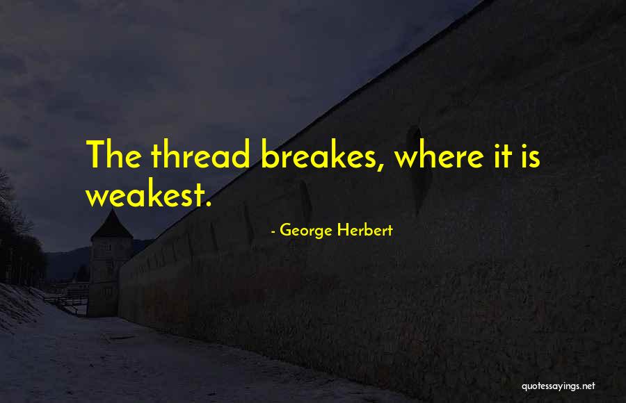 Eddie Izzard Death Star Canteen Quotes By George Herbert