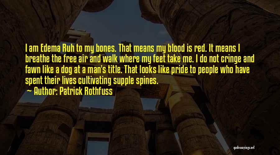 Edema Ruh Quotes By Patrick Rothfuss