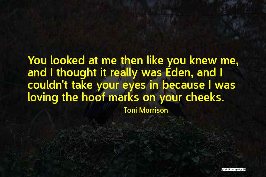 Eden In Love Quotes By Toni Morrison Eden In Love Quotes By Toni Morrison