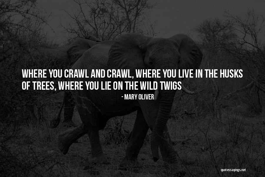 Edern Security Quotes By Mary Oliver Edern Security Quotes By Mary Oliver