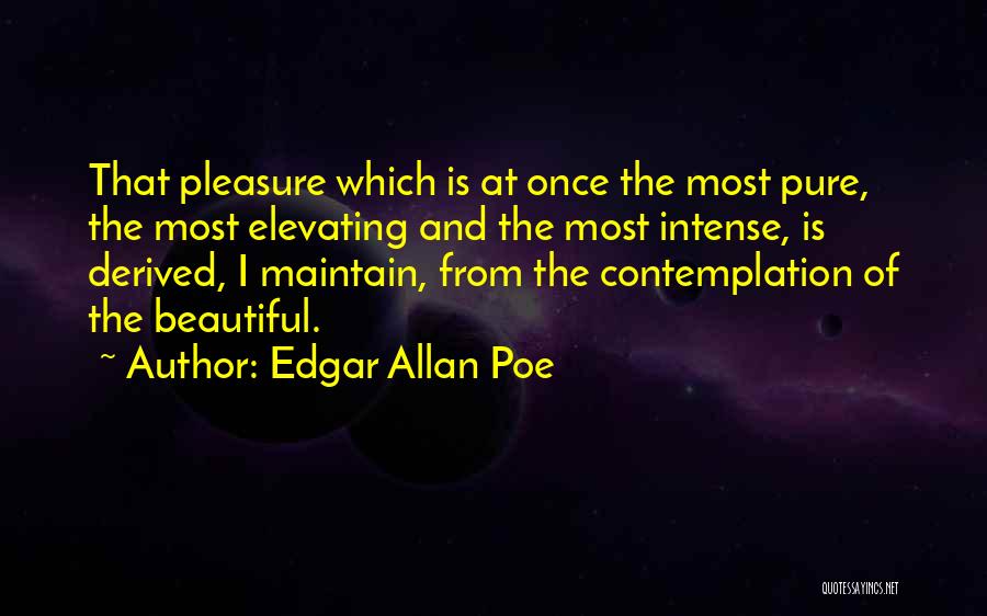 Edgar Allan Poe Beauty Quotes By Edgar Allan Poe