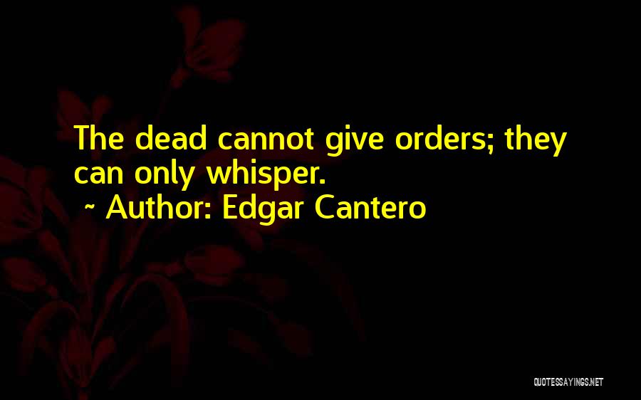 Edgar Cantero Quotes 1893329