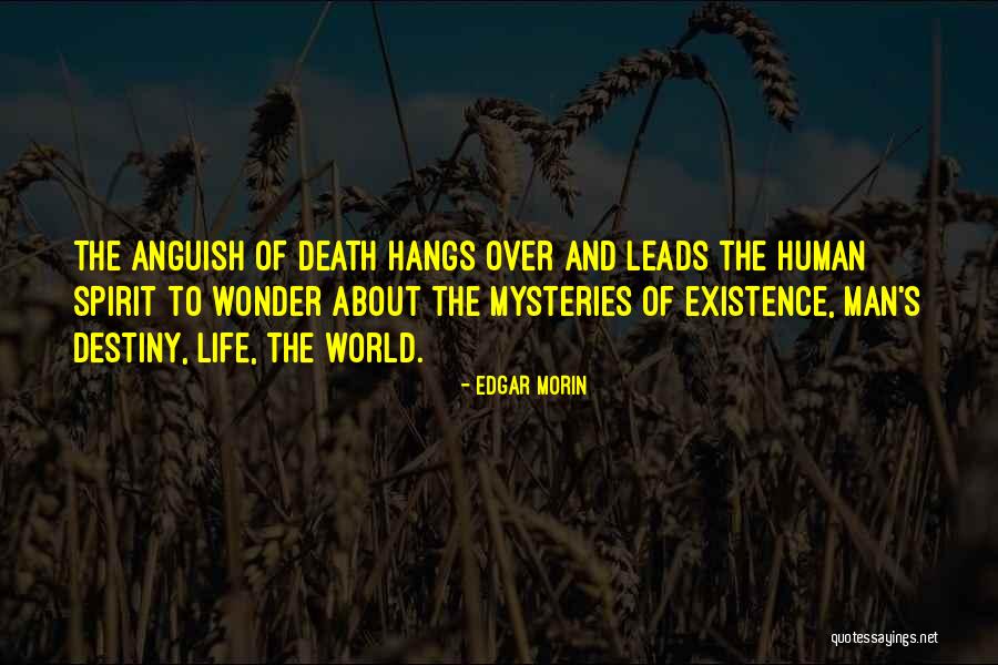 Edgar Morin Quotes 1258727