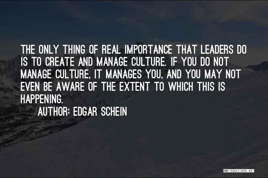Edgar Schein Quotes 1085291