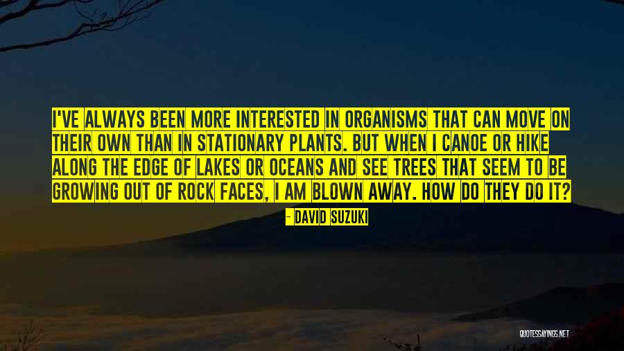 Edge Of Always Quotes By David Suzuki