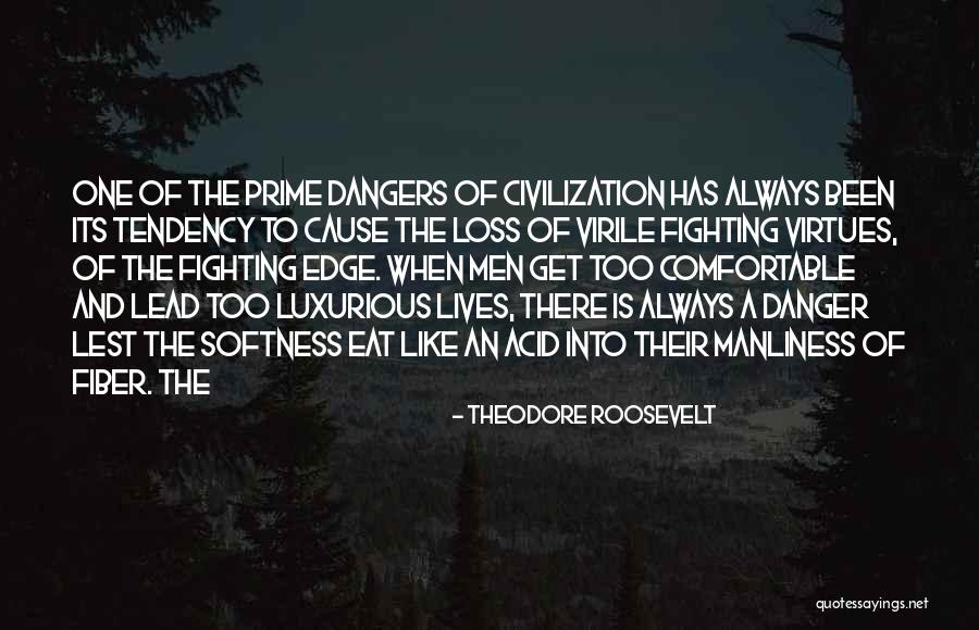 Edge Of Always Quotes By Theodore Roosevelt