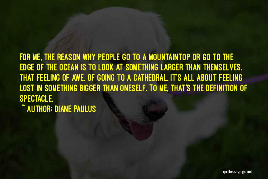Edge Of Reason Quotes By Diane Paulus
