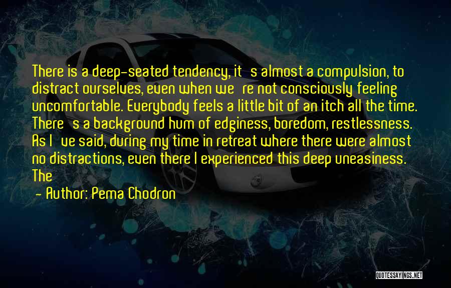 Edginess Quotes By Pema Chodron