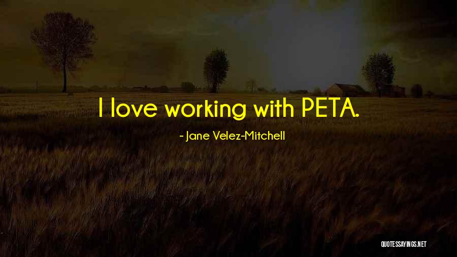Edianaarea Quotes By Jane Velez-Mitchell Edianaarea Quotes By Jane Velez-Mitchell