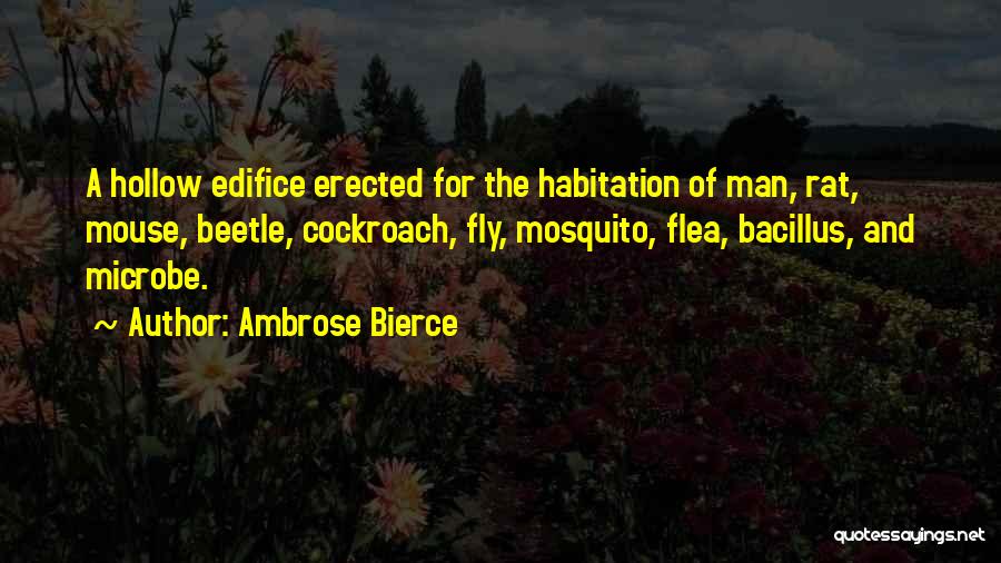 Edifice Quotes By Ambrose Bierce