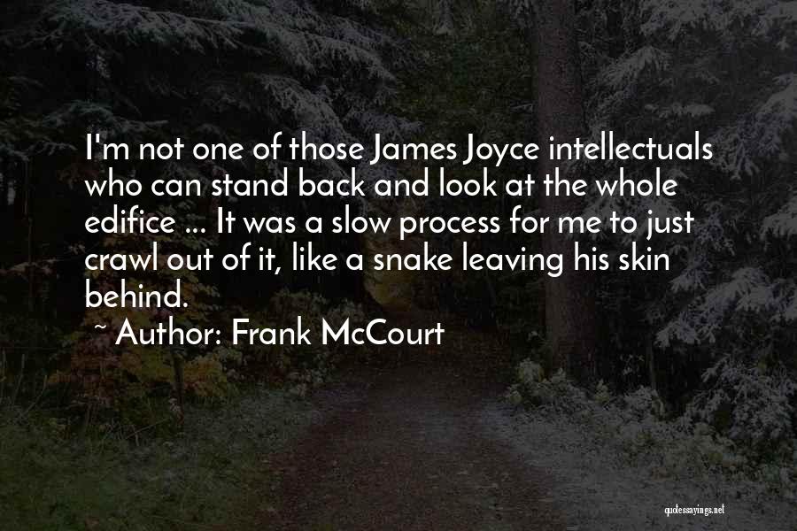 Edifice Quotes By Frank McCourt
