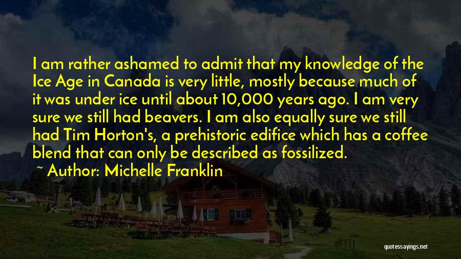 Edifice Quotes By Michelle Franklin