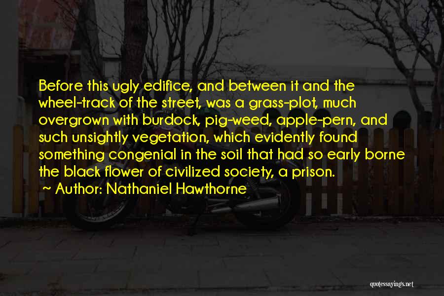 Edifice Quotes By Nathaniel Hawthorne