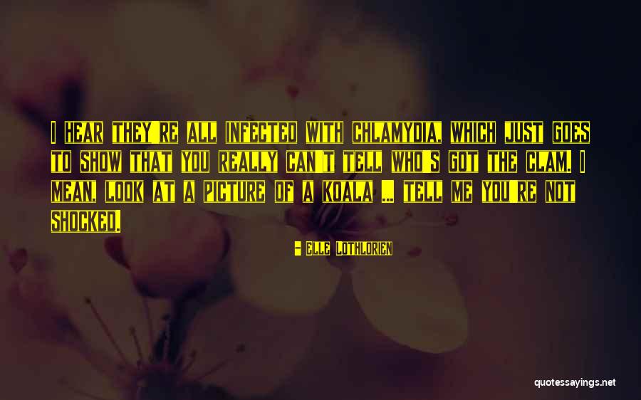 Editel Chicago Quotes By Elle Lothlorien Editel Chicago Quotes By Elle Lothlorien