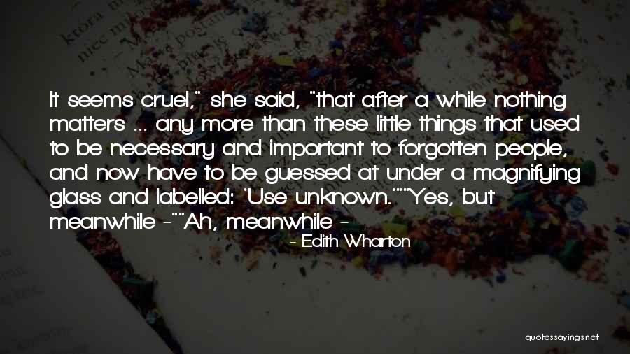 Edith Wharton Quotes 666399