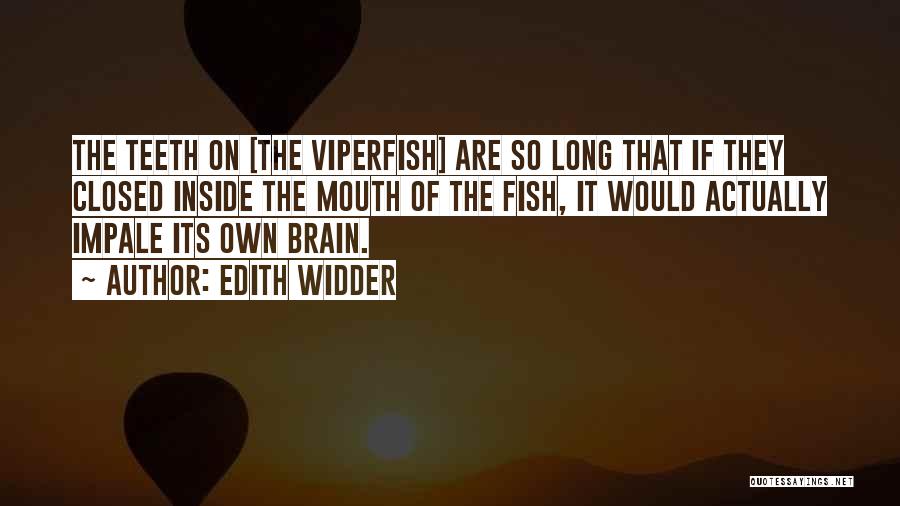 Edith Widder Quotes 2099444