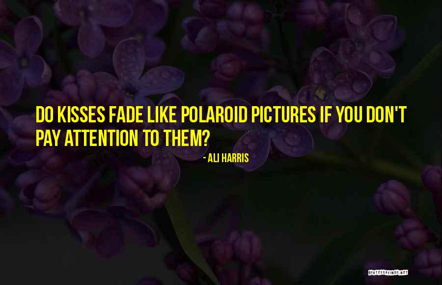 Ediths French Bistro Quotes By Ali Harris Ediths French Bistro Quotes By Ali Harris