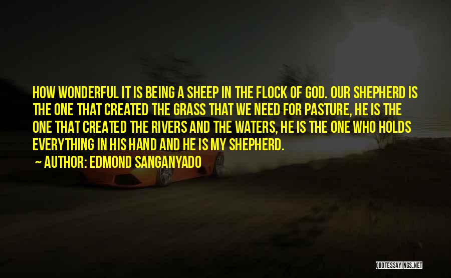 Edmond Sanganyado Quotes 1423382
