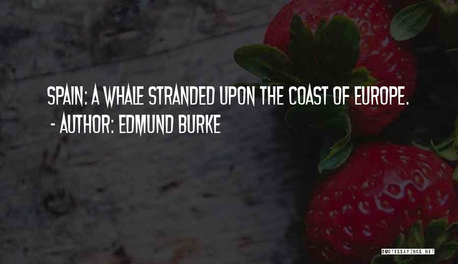 Edmund Burke Quotes 1203142