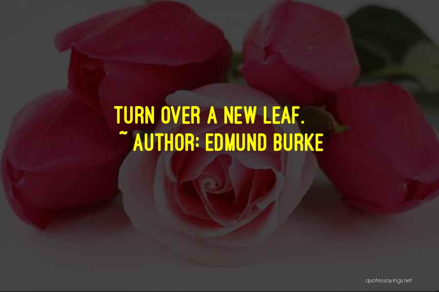 Edmund Burke Quotes 501481