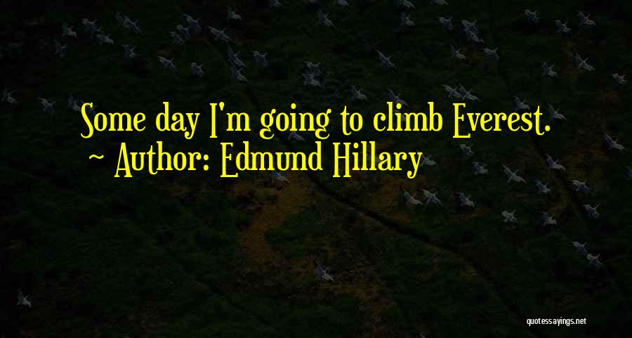 Edmund Hillary Quotes 1812141