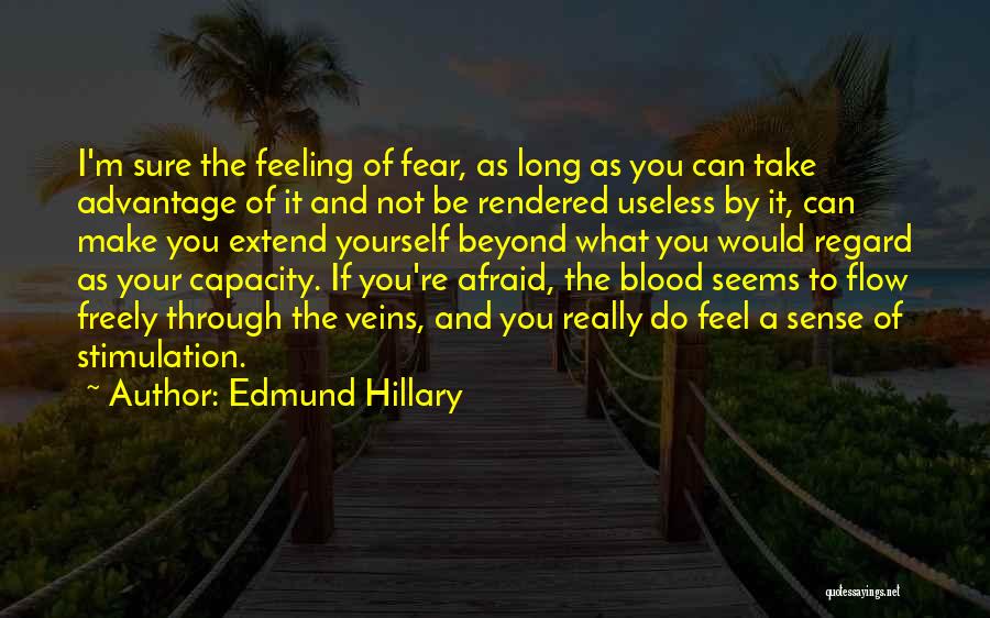 Edmund Hillary Quotes 211293