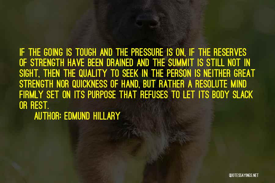 Edmund Hillary Quotes 575787