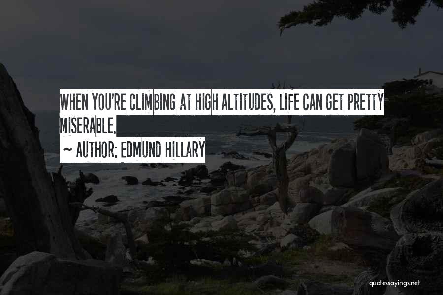 Edmund Hillary Quotes 652966