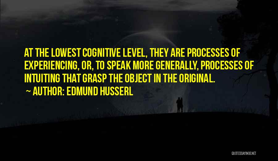 Edmund Husserl Quotes 1403800