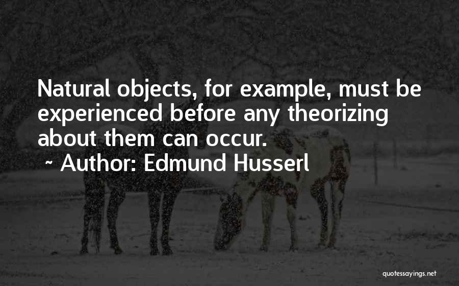 Edmund Husserl Quotes 357477