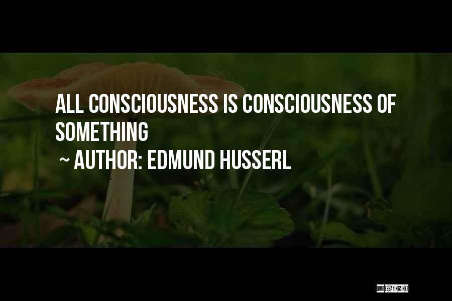 Edmund Husserl Quotes 664877