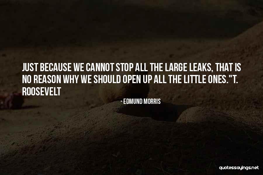 Edmund Morris Quotes 987831