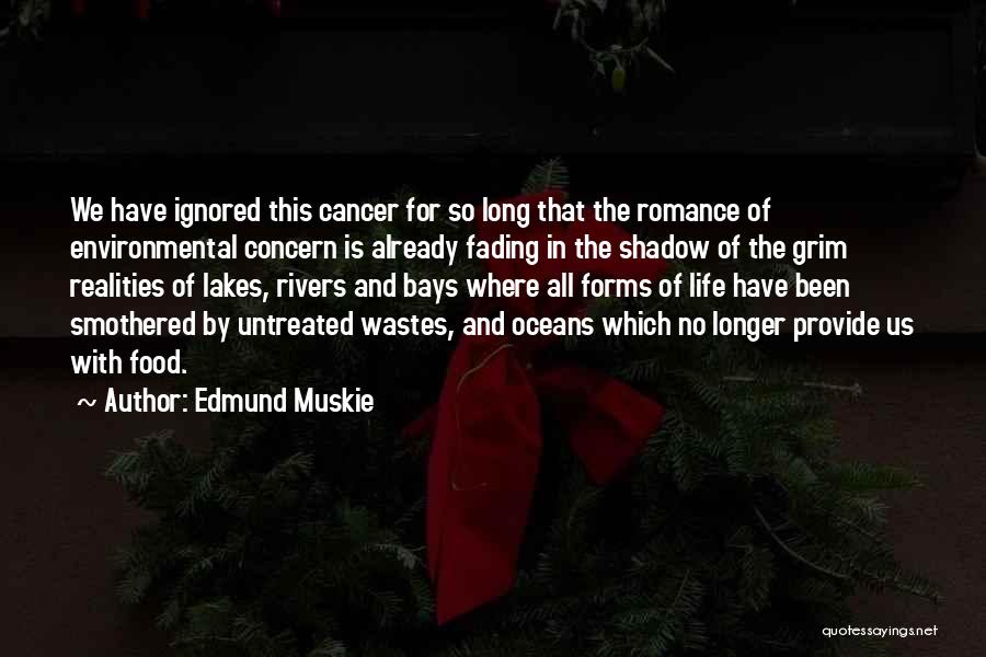 Edmund Muskie Quotes 158534