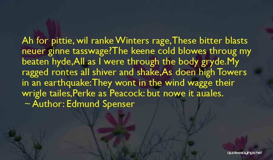 Edmund Spenser Quotes 1736373