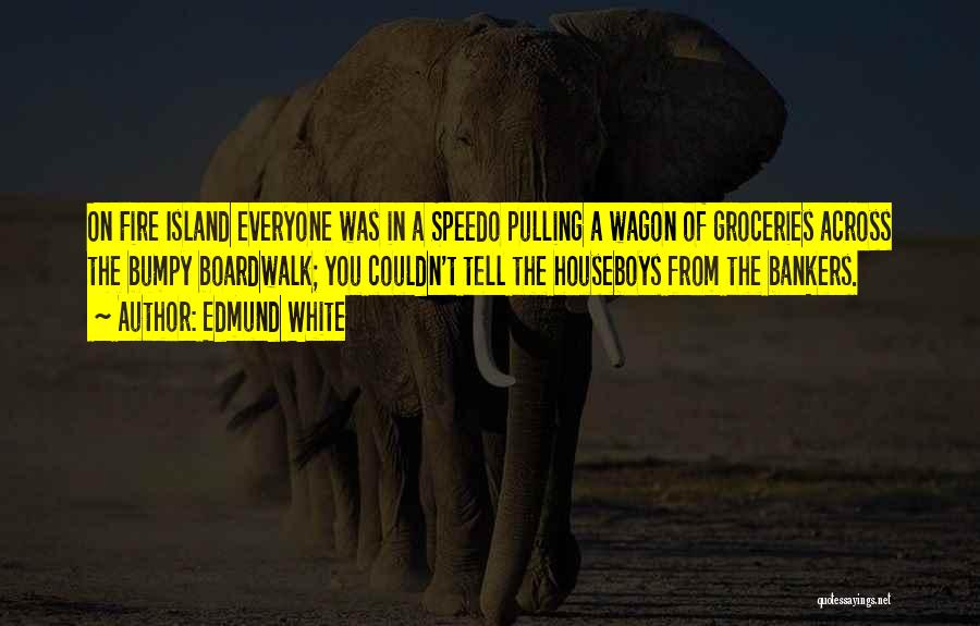 Edmund White Quotes 1119871 Edmund White Quotes 1119871