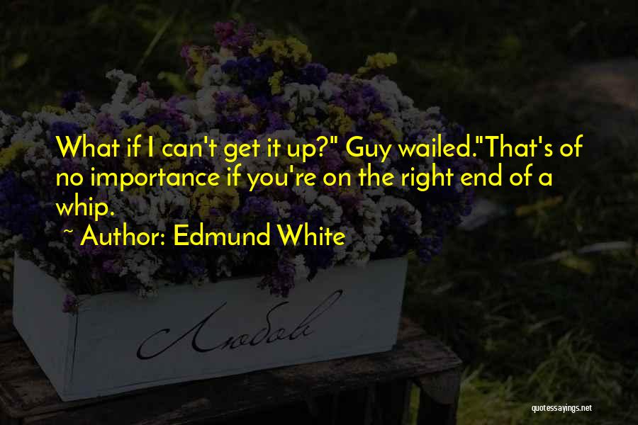 Edmund White Quotes 1528515