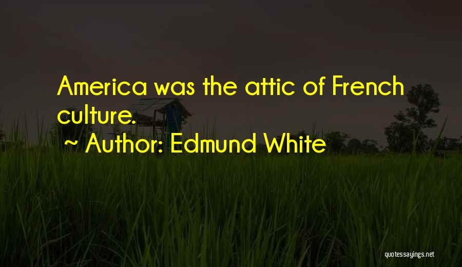 Edmund White Quotes 1772687